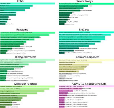 Glycyrrhizic Acid for COVID-19: Findings of Targeting Pivotal Inflammatory Pathways Triggered by SARS-CoV-2